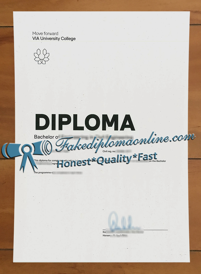 VIA University College diploma