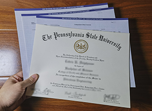 Pennsylvania State University degree and Transcript