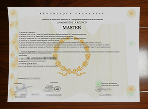 Université de La Réunion degree