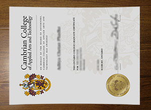 Cambrian College certificate