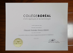 Collège Boréal certificate