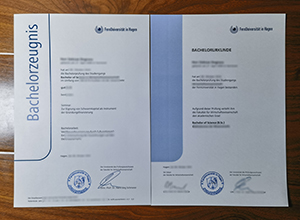 FernUniversität in Hagen degree amd transcript