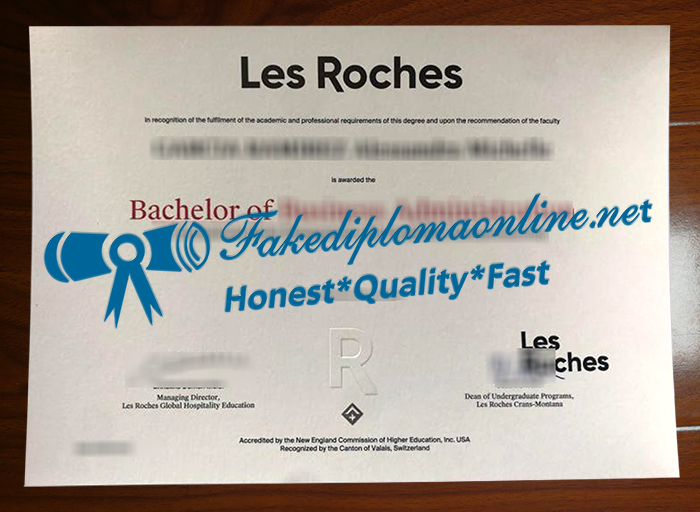 Les Roches degree