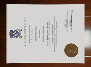 Nipissing University diploma