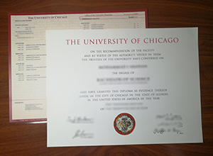 University of Chicago diploma and transcript