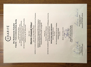 Charité - Universitätsmedizin Berlin diploma