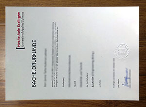 Hochschule Esslingen degree