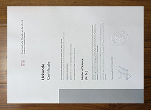 Hochschule Neubrandenburg diploma
