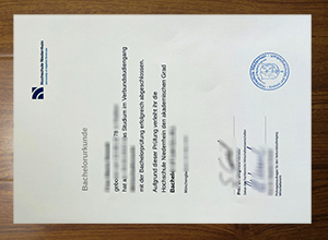 Hochschule Niederrhein diploma