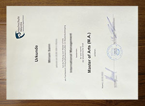 Hochschule Worms diploma