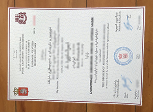 Ilia State University degree