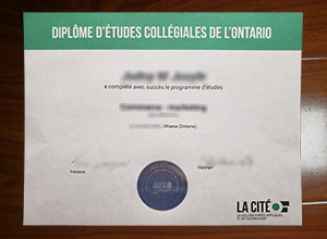 Collège La Cité degree