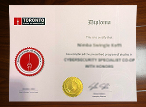 Toronto School of Management degree