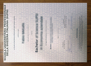 SUPSI diploma