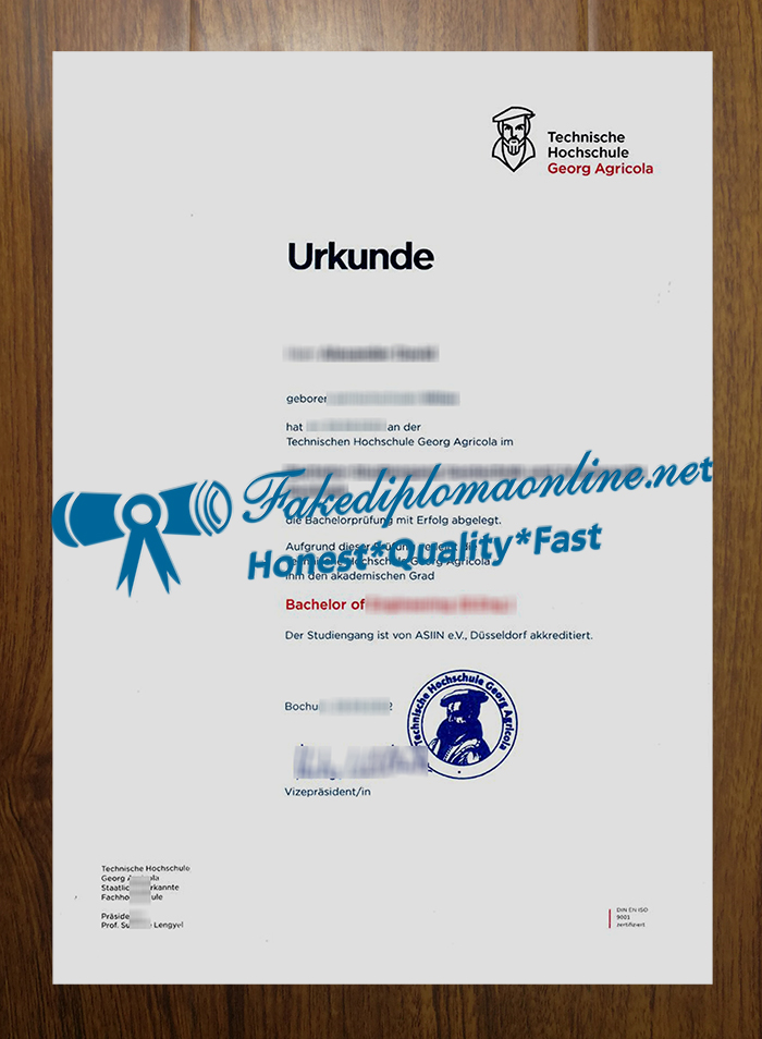 Technische Hochschule Georg Agricola degree