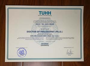 Technische Universität Hamburg diploma