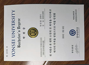 Yonsei University degree