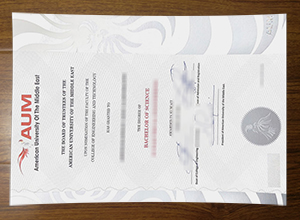 American University of the Middle East diploma