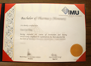 IMU University degree