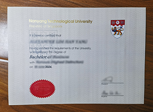 Nanyang Technological University diploma