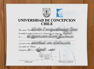 How fast to buy a Universidad de Concepción degree in Chile