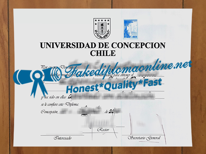 Universidad de Concepción degree