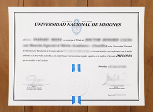 National University of Misiones diploma