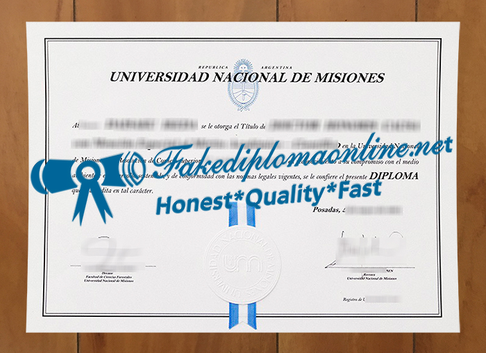 National University of Misiones degree