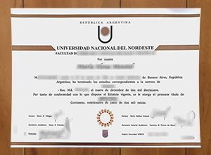 National University of the Northeast diploma