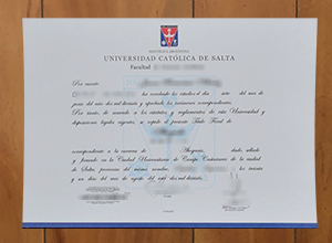 Looking for a Universidad Católica de Salta degree in Argentina