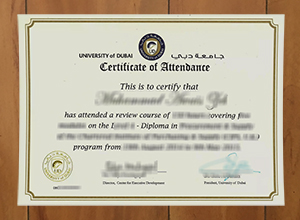 How long to purchase a University of Dubai diploma certificate