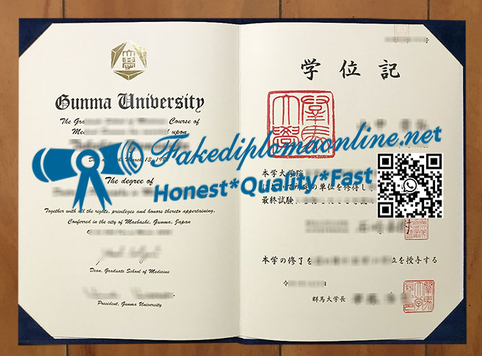 Gunma University degree