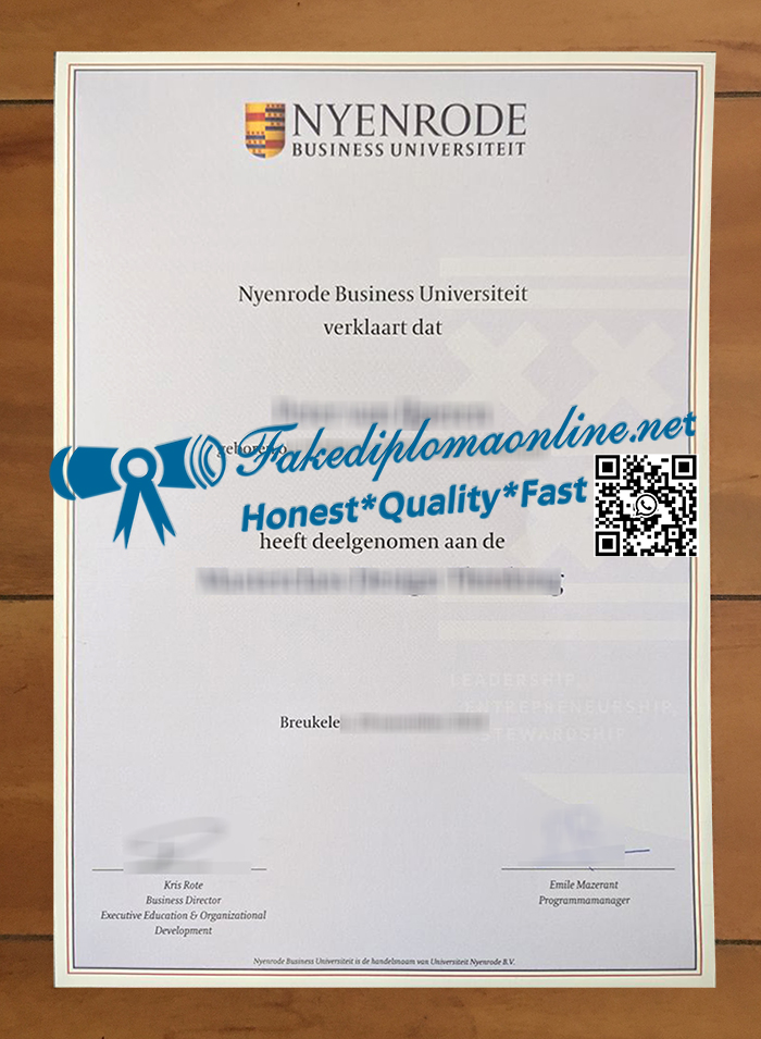 Nyenrode Business University degree