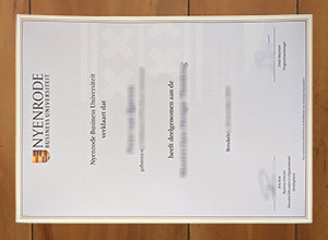 Nyenrode Business University diploma