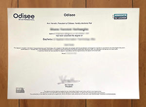 Odisee hogeschool diploma