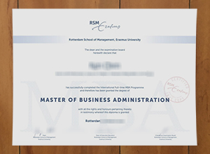 RSM Erasmus University diploma