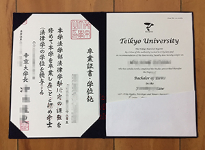 Teikyo University diploma