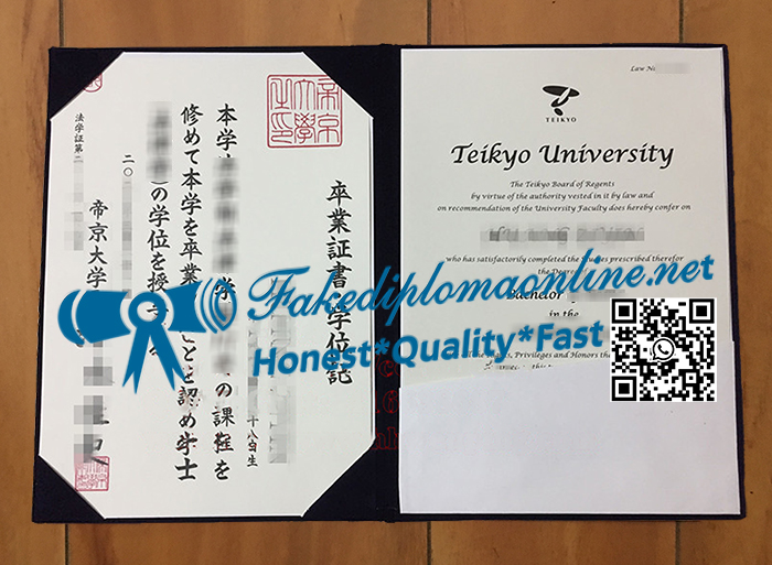 Teikyo University degree