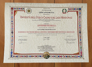 Università degli Studi di Cassino diploma