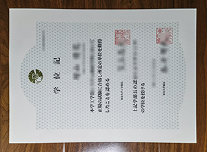 University of Tokyo diploma